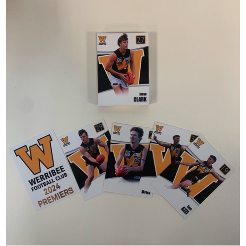 2024 Werribee FC Premiership Team Player Cards